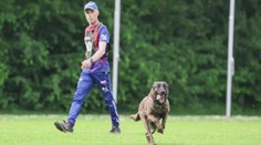 Pes Cherokee je mistr světa. Slouží u pražské policie