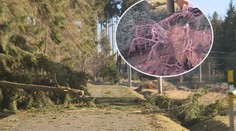 Poničená Rohozná: Na účtu se sešlo 400 tisíc, lidé se bojí další bouře
