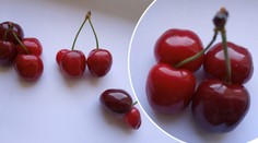 Paní Alena natrhala třešně, při pohledu zblízka nevěřila svým očím