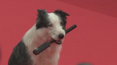 Začal filmový festival v Cannes. Po červeném koberci se prošel i Messi