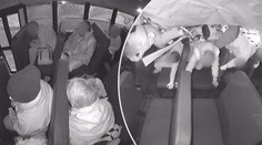 VIDEO: Autentické záběry nehody školního autobusu, děti létaly vzduchem