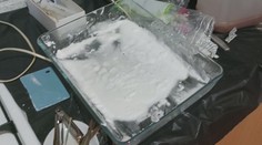 V Šumperku dopadli údajné dealery drog. Hrozí jim až deset let za mřížemi