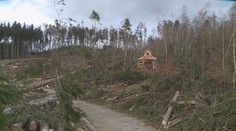 Opravy pokračují, zoo v Olomouci se vzpamatovává z bouře Eberhard