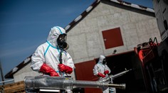 Hasiči likvidovali kolem 170 tisíc nosnic kvůli ptačí chřipce. Popsali náročný zásah