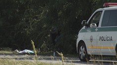 Tragická dopravní nehoda: Otec zemřel před očima syna (16)