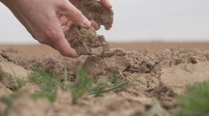 Česko čelí extrémnímu suchu. Dopady mohou být obrovské, varují odborníci