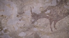 Archeologové v Indonésii zřejmě objevili nejstarší malbu světa