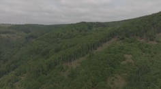 V Krušných horách má vzniknout největší česká CHKO. Místní se proti tomu bouří