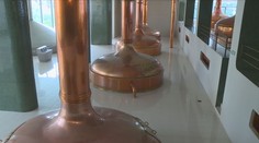 Po bludišti u Kozla se hodí Plzeň. Lidé z Plzeňského kraje lákají na výlety i pivo