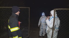 Boj s ptačí chřipkou! Na Moravě začalo vybíjení drůbeže!