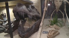 Malá obec ukrývá velké překvapení. Muzeum dinosaurů vytvořila 3D tiskárna