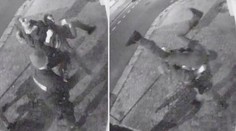 Žena chtěla odvézt dítě (2). Byla opilá tak, že ji policisté museli nést
