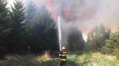 Dva obří požáry u Brna, hořel les i průmyslová budova