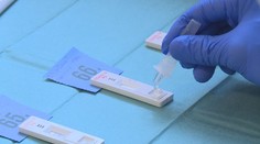 Testy odhalily přes 14 tisíc nových případů. Úmrtnost je stále velmi vysoká