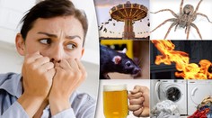 Bojíte se pavouků nebo krys? VELKÝ PŘEHLED FOBIÍ