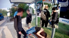 Strážníci objevili v parku opilou dívku, nadýchala téměř 2 promile!