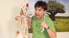 Bolí Vás záda nebo přetížené rameno? Máme řešení!