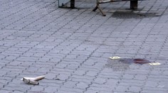 Při domluveném souboji o ženu napadl jeden sok druhého kladivem