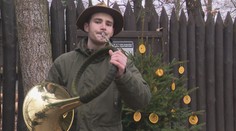 Do lesa: Lidé o Vánocích krmí divokou zvěř. Často volí nevhodnou potravu