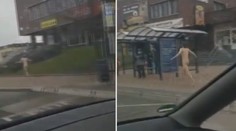 Po ulicích v Mostě běhal naháč. Video pobavilo lidi na internetu