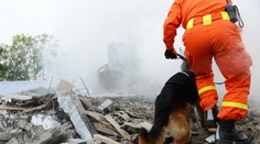 Indii zasáhlo velmi silné zemětřesení, poškozená je řada budov