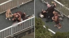 Odvážný pejskař dopadl zloděje aut během policejní honičky