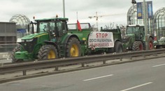 Protesty se povedly, pochvalují si zemědělské odbory. Chyby prý udělali jiní