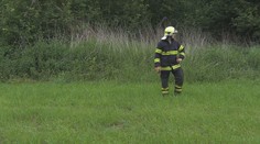 Matka nechala vyhlásit pátrání, věděla ale, že její dítě je mrtvé. Dostala pět let