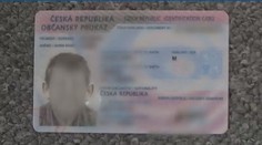 Zloděje dopadli hned po krádeži. Prozradil ho neobvyklý rys!