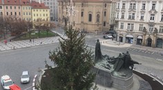 Vánoční strom už stojí v centru Prahy, rozsvítí ho kvůli epidemii tajně