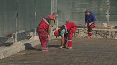 Firmy se pokoušejí o start, chybí jim čtvrt milionu pracovníků z ciziny