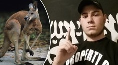 Nová zbraň džihádistů? V Austrálii chtěli využít k útoku klokana!
