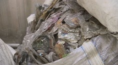 VIDEO: Dánsko klamalo o recyklaci plastů. 48 000 tun se spálilo v Asii!
