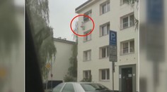 Pro rostlinu konopí vylezl muž do třetího patra po hromosvodu!