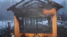Požár v zoo skončil tragédií! V přístřešku uhořela vzácná zvířata
