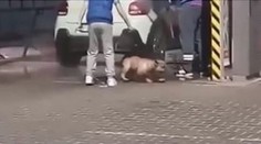 Video ze Slovenska: Čtyřnohého chlupáče máčeli proudem vody z wapky