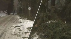 Hasiči kvůli počasí hlásili čtyřnásobný počet zásahů, vichr se má brzy vrátit!