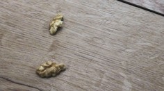 Ukážeme vám, jak se rychle zbavíte škrábanců na podlaze