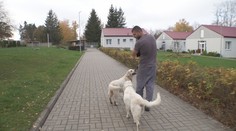 Vězni v Jiřicích vychovávají asistenční psy. Trénink štěňat je pro ně terapií