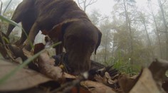 VÍKEND: Divoké dobrodružství s kamerkou v bažinách