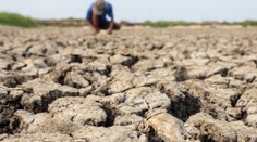Rok 2023 bude nejteplejším rokem v historii měření, potvrdili vědci
