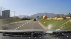 Dva ptáci Tomášovi rozbili auto. Natočila je kamera, lidé záběrům nemohou věřit