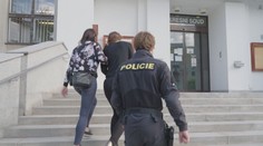 Žena se měla podílet na krádežích za miliony korun. Hrozí jí až osm let za mřížemi