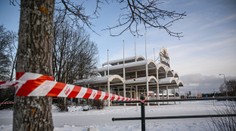 Z evropské zoo utekla skupina šimpanzů. Jejich osud vyvolal zuřivou reakci lidí