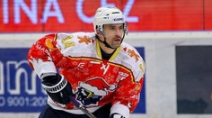 Plekanec milovaný i nesnášený: Proč ho někteří nemohou vystát?