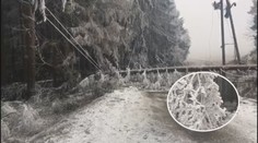 Všude skoro jaro, na Vysočině ledová apokalypsa! Námraza lámala i stromy