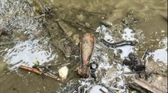 Na pejskaře čekalo překvapení. V potoce objevil starou dělostřeleckou pumu
