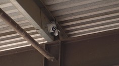 Nový zákon nařizuje instalaci kamer na jatkách. Má zabránit týrání zvířat