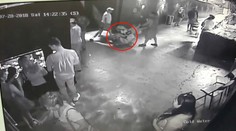 Zloději ukradli žraloka a odvezli si ho v kočárku! Už se přiznali