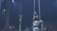 V Praze vystoupí Cirk La Putyka. Skoro 60 akrobatů ukáže neskutečné kousky